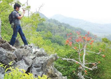 วนอุทยานห้วยน้ำซับ